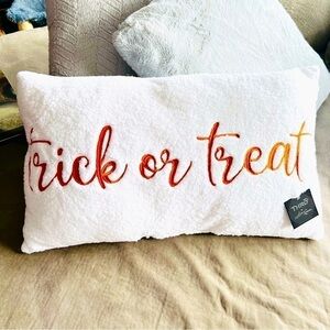 NEW TRICK OR TREAT - Beautiful Super Soft SHERPA Accent Pillow